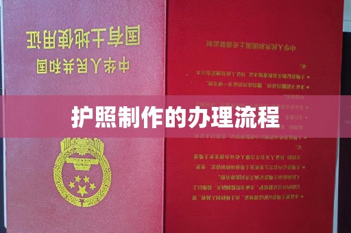 尼勒克护照制作的办理流程