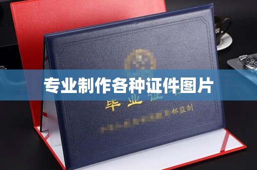 尼勒克专业制作各种证件图片