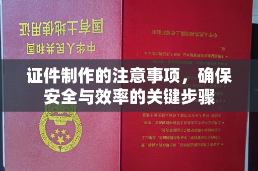 尼勒克证件制作的注意事项，确保安全与效率的关键步骤
