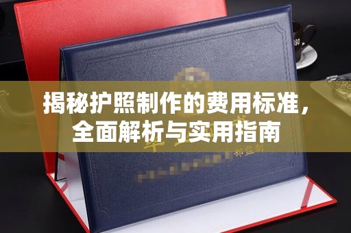 尼勒克揭秘护照制作的费用标准，全面解析与实用指南