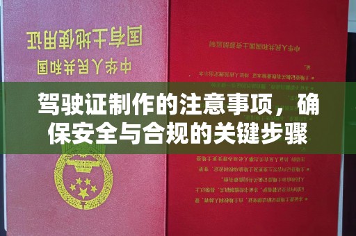 尼勒克驾驶证制作的注意事项，确保安全与合规的关键步骤