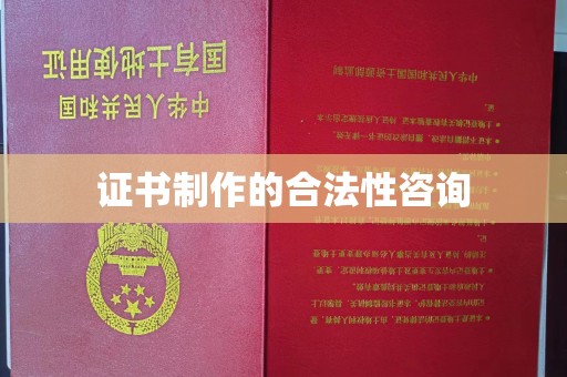 尼勒克证书制作的合法性咨询