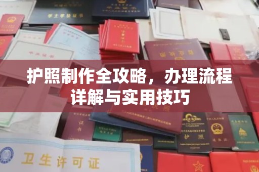 尼勒克护照制作全攻略，办理流程详解与实用技巧