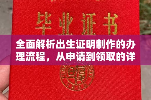 尼勒克全面解析出生证明制作的办理流程，从申请到领取的详细指南